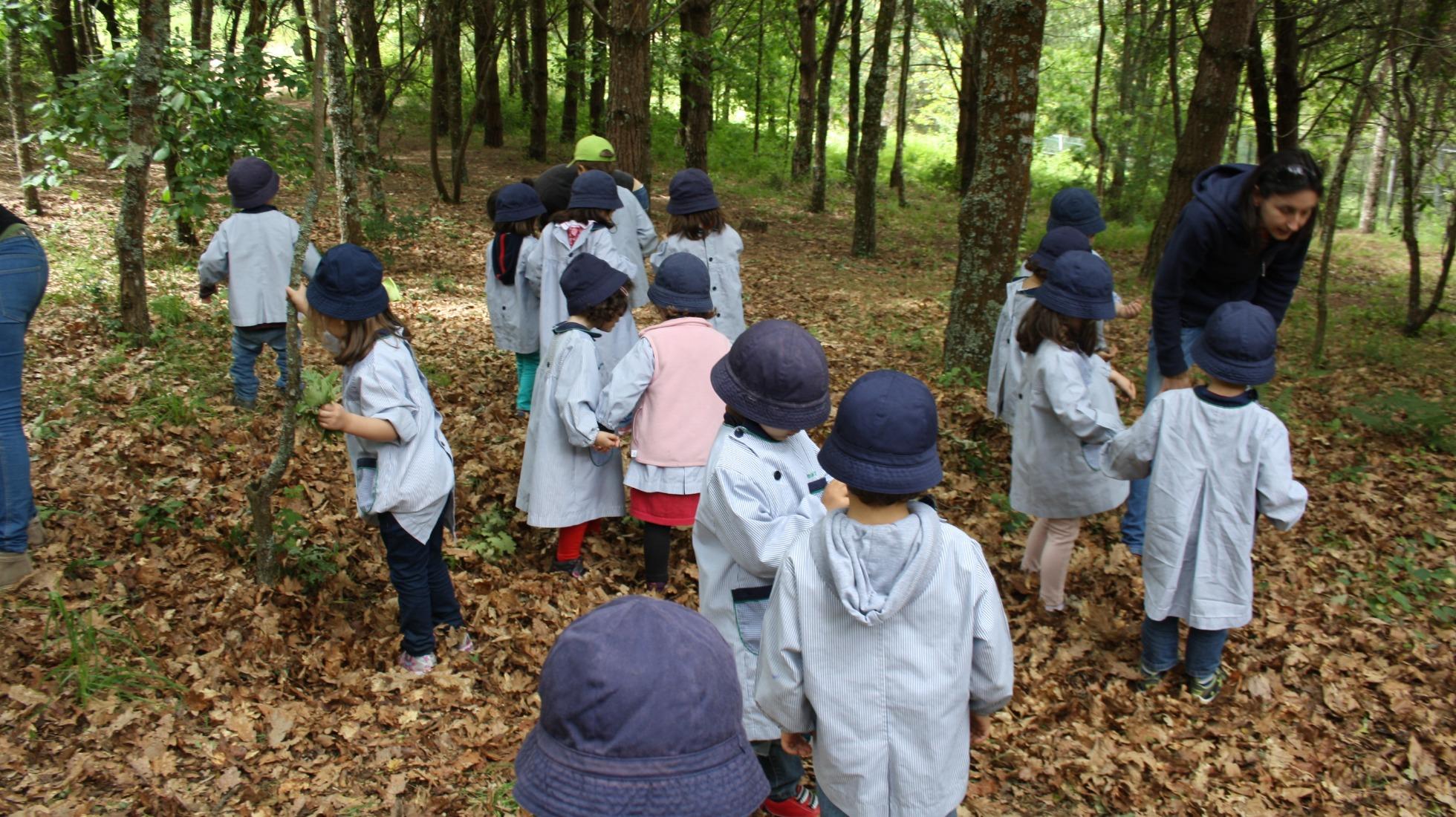 Environmental Education